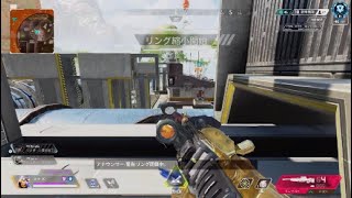 社畜による久々過ぎAPEX