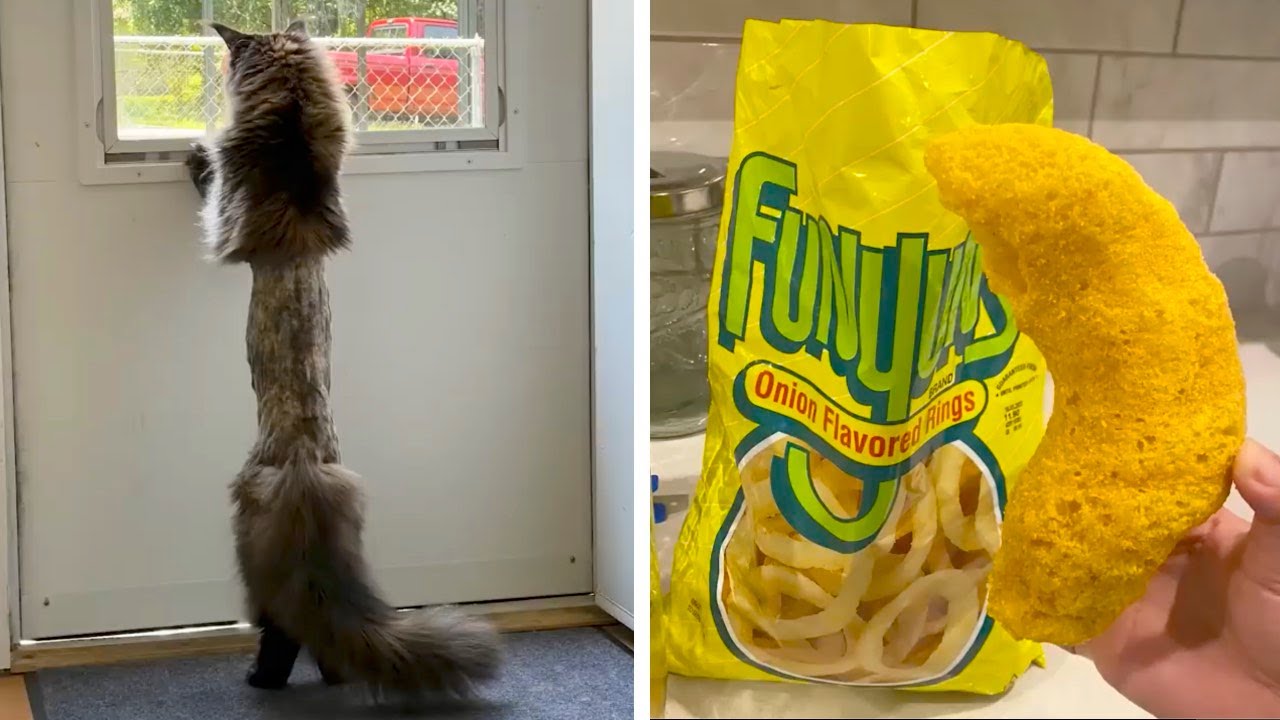 Фотографии, что сорвут крышу