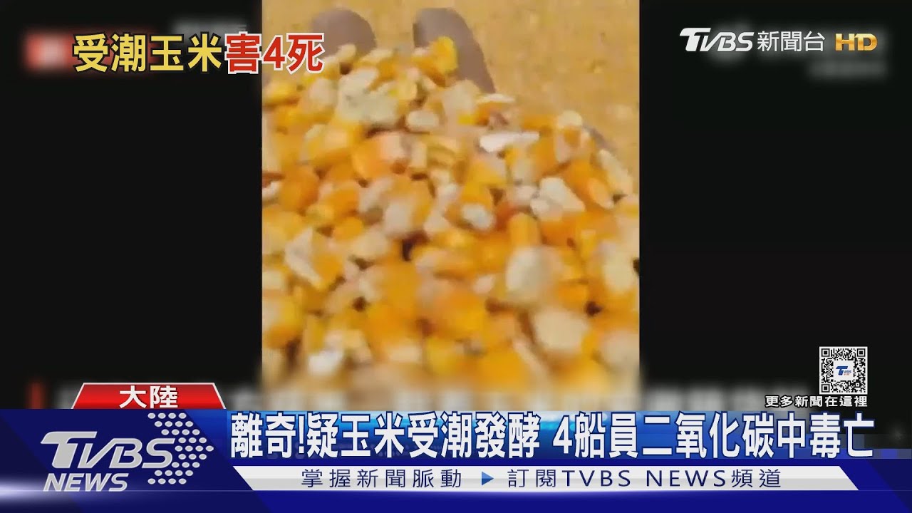 離奇! 疑玉米受潮發酵 4船員二氧化碳中毒亡