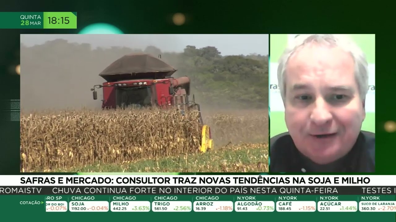 Safras & Mercado: consultor traz novas tendências na soja e milho