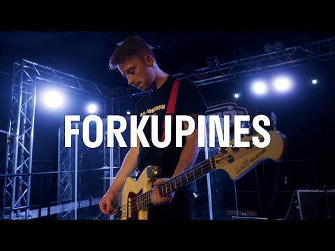 B58 Sessions #3 - Forkupines