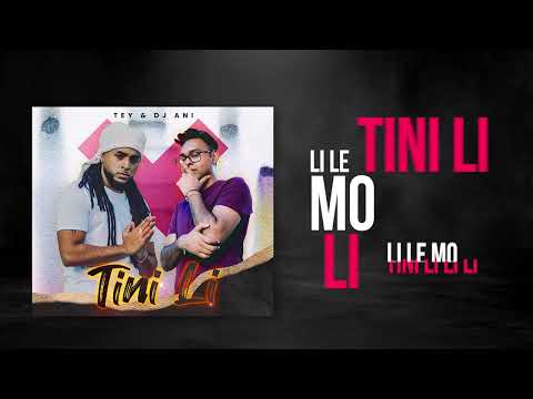 Tey ft DJ ANI -  Tini Li  ( Lyrics Video )
