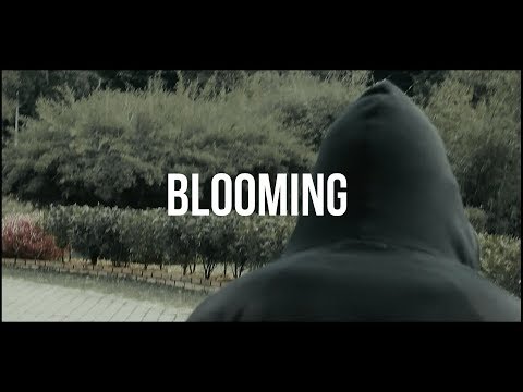 Skyrulez - BLOOMING  (Official Music Video)