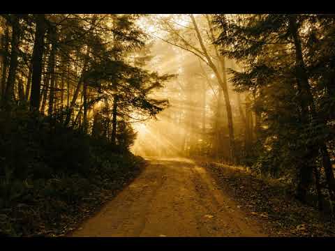 Alex Stealthy - Being (Sterio & Mcgrath Trojan Remix) [2005] MP3