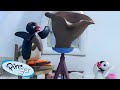 Pingu S Favorite Hobbies Pingu Official Channel Cartoons For Kids