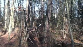 Alexia riding Honda Trx400ex