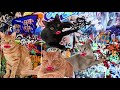 Barry Legendary Editings