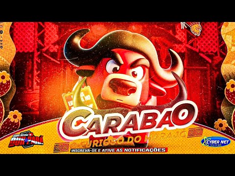 CARABAO SOFRÊNCIA- CARABAO DJ TOM MÁXIMO NO CENTRO NOVO DO MARANHÃO 27 JUNHO 2024 AO VIVO #sofrencia