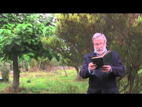 Vídeo: 7 poemas de Díaz Castro