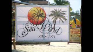 Rub-a-Dub Market - Sugar Minott