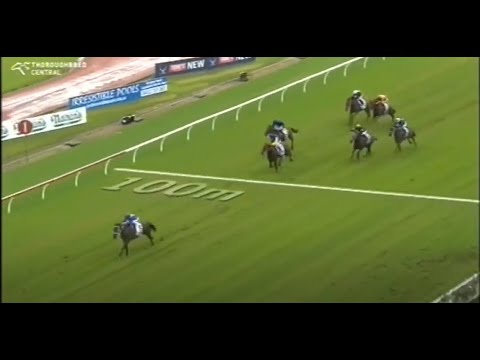 2016/2017 Season (6/8) Randwick Guineas - Golden Slipper Stakes