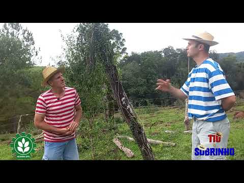 Tio e Sobrinho - Muito Azarado e Mentiroso (Piadas)