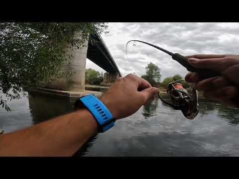 Ultra light fishing on river Sava - Asp & Chub (bolen i klen)
