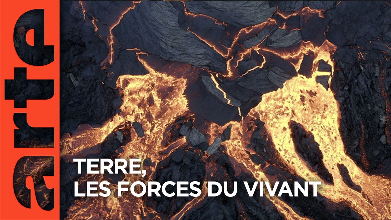 Miniature de la vidéo Terre, les forces du vivant | Documentaire | ARTE du film Terre, Les Forces du Vivant