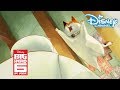 Big Hero 6: Baymax en Mochi | Rommelige Kamer | Disney Channel NL