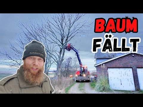 Jetzt lässt mich auch noch der Fendt im Stich 😱🤯