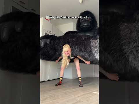 I will out it in Bumblebees room so he can fight with it #funny #gorilla