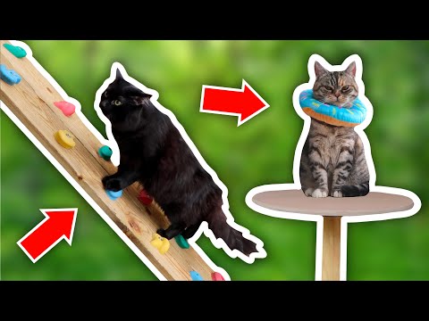 I Built an ADVENTURE PLAYGROUND CATIO For My Cats