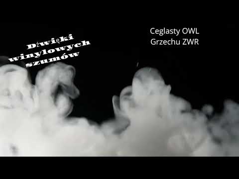 DWSz x Ceglasty OWL , Grzechu ZWR