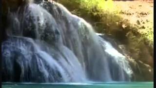 Van Morrison-Have I Told You Lately That I Love You