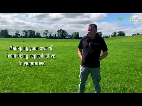 Managing your sward from being reproductive to vegetative Part 1