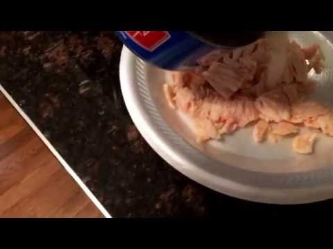 YouTube video about: Can cats eat canned chicken breast?