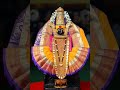 Amba Bai Navratri Status