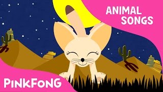 Fuh Fuh Fennec Fox | Fennec Fox | Animal Songs | Pinkfong Songs for Children