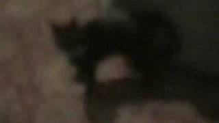 Jeff Jones-"Peter Pan"-featuring Lucy