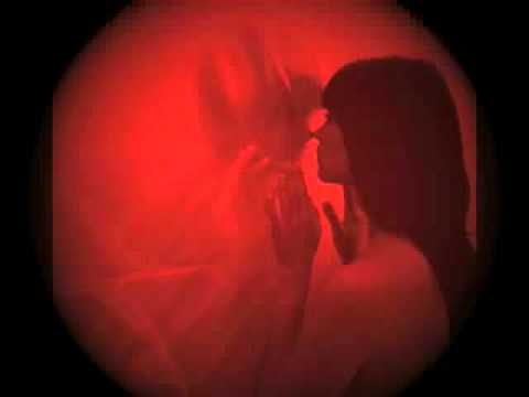 Ebria Danza - Pez pantera