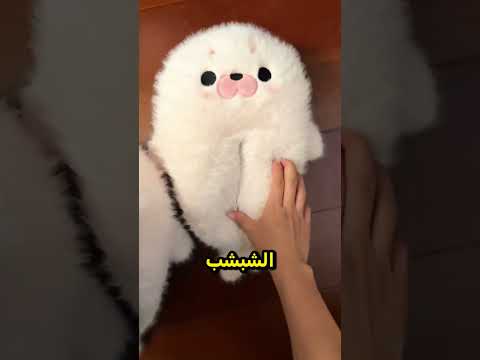 زميلتها في السكن دمّرت شباشبها المفضلة 😅