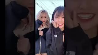 TikTok ライブ配信 黒 見えちゃう 귀여운 미인  보이는  속옷  가슴  바지
