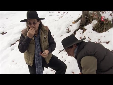 Une journée avec Marc Veyrat - Thé ou Café - 26/11/2016