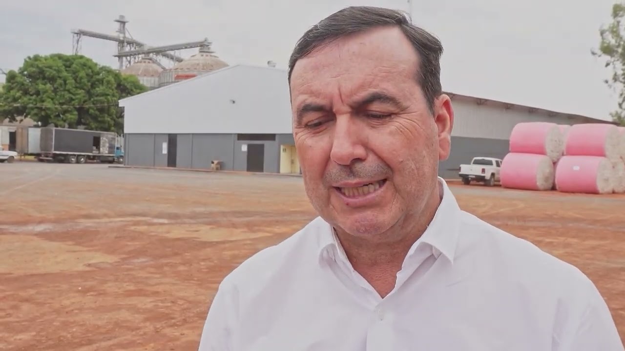 Plantio da soja avança e produtor já planeja segunda safra