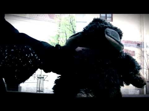 Srećna nova godina!