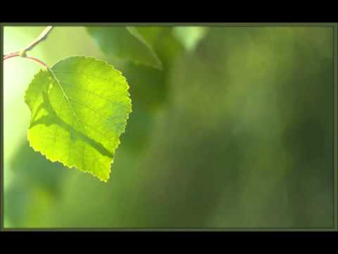 16) Largimi i dyshimeve - Allahu çdo të Dërguari i caktoi kundërshtarë prej njerëzve dhe shejtanëve