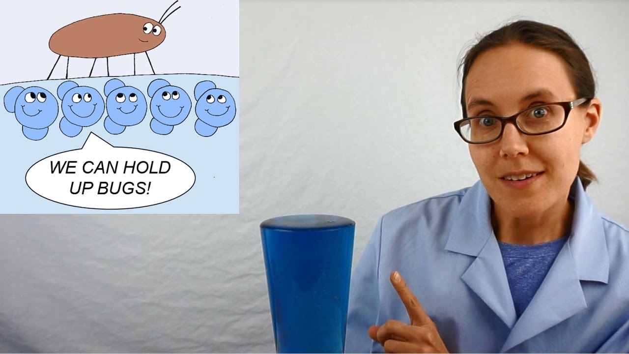 Science Mom's Guide to Water, Part 2 - Surface Tension