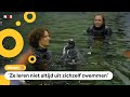 Baby-pinguïn Charlie krijgt haar eerste zwemles