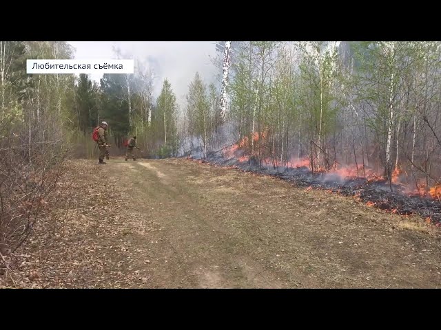 Очередная серия пожаров в Приангарье