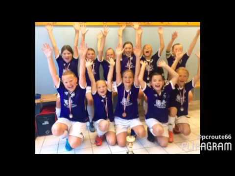 2016 - Lerums IS F06