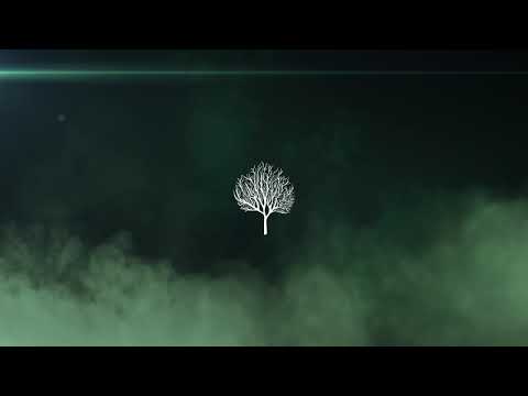 Armonica - Back to You feat. FLU