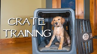 Labrador Retriever Crate Training Your Puppy - How To Avoid Separation Anxiety With Your Dog