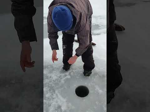 10 pound Northern Pike on a tip up! lake Champlain