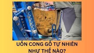 Quy trình uốn cong gỗ làm tựa ghế bằng máy hấp và uốn Woodmaster