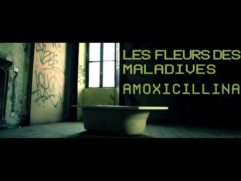 Amoxicillina [TEASER] - LES FLEURS DES MALADIVES