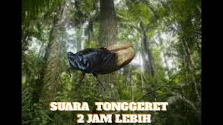 Download lagu SUARA  TONGGERET  2  JAM  LEBIH mp3