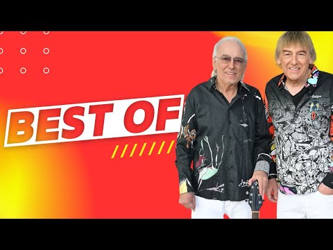 BEST OF: DIE AMIGOS 2024 🎶❤️