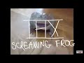 THX Screaming Frog