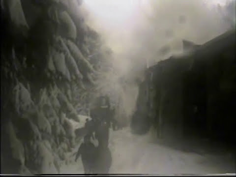 Winterreise ím Harz am 28.2.1990 mit 99 7239-eine Zug-Mitfahrt mit Hindernissen--