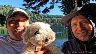 The Origin Stories of the Goobie and Doobie and Functional Melancholic Channels